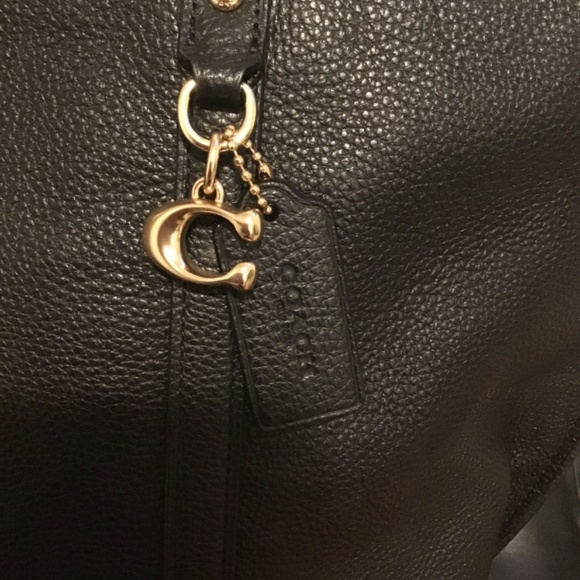 🔥🔥NWOT, AUTHENTIC COACH BAG, GORGEOUS 18 inches x 12 inches - Picture 2 of 11